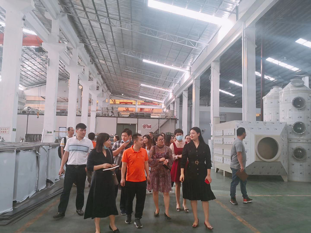 多米咨詢羅曉琴